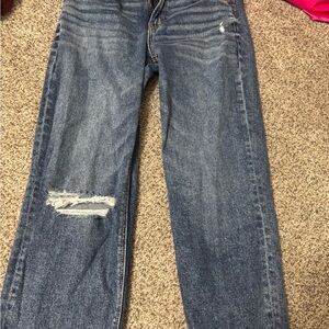 American Eagle Outfitters Relaxed Fit Distressed Blue Jeans